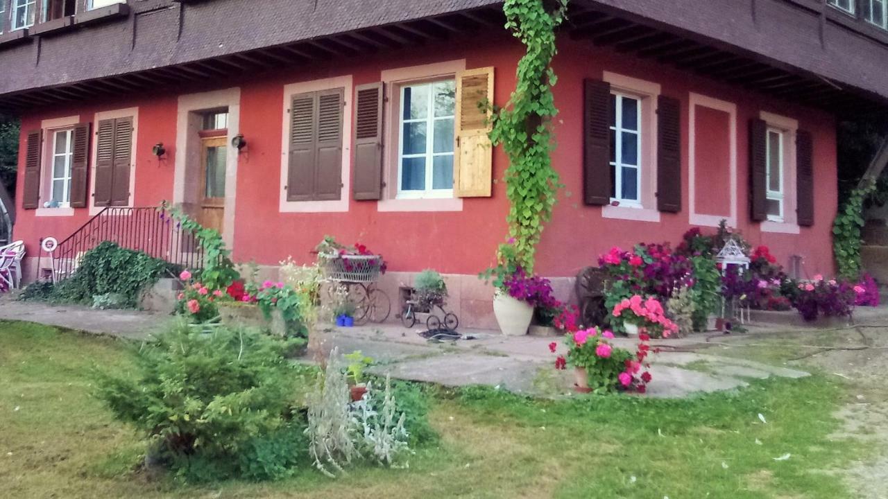 Gite "Cadichon" Munster  Esterno foto