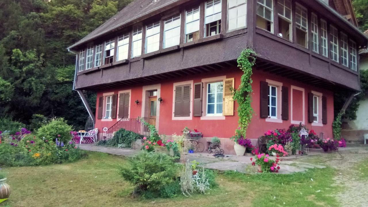 Gite "Cadichon" Munster  Esterno foto