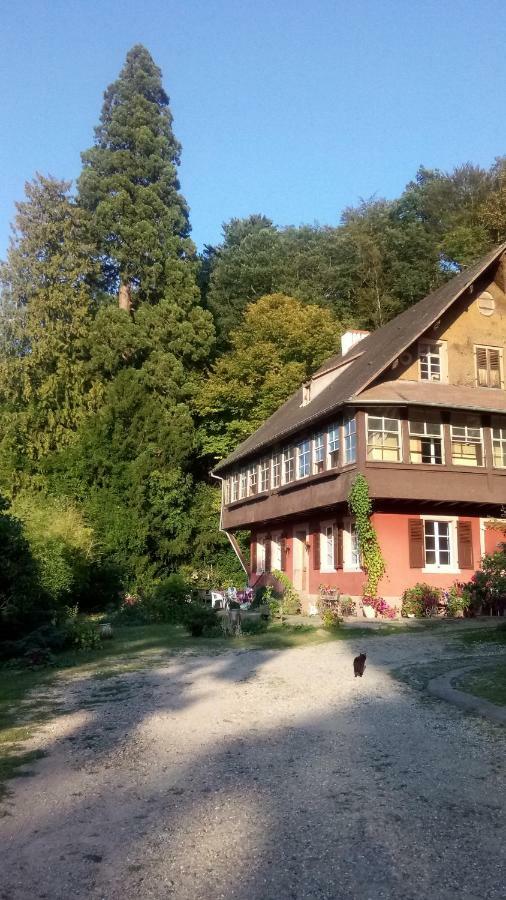 Gite "Cadichon" Munster  Esterno foto